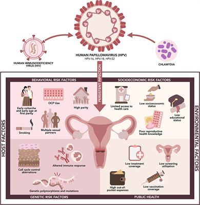 Frontiers | Current Status Of Human Papillomavirus Infection And ...